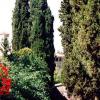 Fattoria