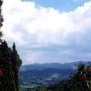 Fattoria