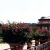 Villa Medicae La Petraia