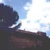 Staggia