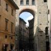 Volterra