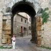 Volterra
