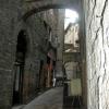 Volterra