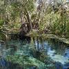 Bitter Springs