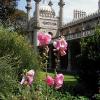 Brighton