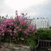 Eastbourne