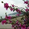 Eastbourne
