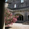 Abbaye de Montmajour