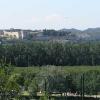 Avignon