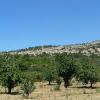 St. Saturnin