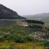 Segesta