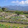 Ravello