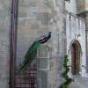 Cardiff Castle
