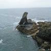 Lizard Point