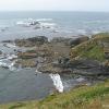 Lizard Point