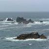 Lizard Point