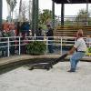 Gatorland