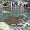 Sea World
