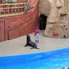 Sea World