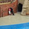 Sea World
