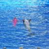 Sea World