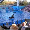 Sea World
