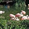 Sea World