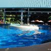 Sea World
