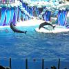 Sea World