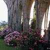 Abbaye de Beauport