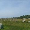 Carnac