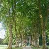 Rochefort-en-Terre