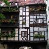 Erfurt