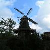Potsdam