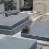 Cimetière de Montmartre
