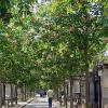 Cimetière du Père Lachaise