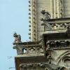 Notre-Dame