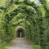 Birr Castle