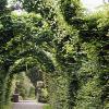 Birr Castle