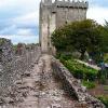 Blarney Castle