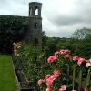 Blarney Castle