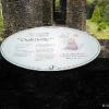 Blarney Castle