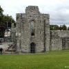 Boyle Abbey