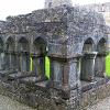 Cong Abbey