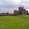 Dunbrody Abbey