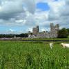 Fore Abbey