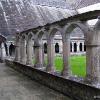 Holycross Abbey