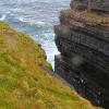 Loop Head