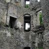 Mallow Castle