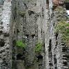 Mallow Castle